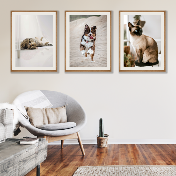 Posteran Plakaty Obrazy