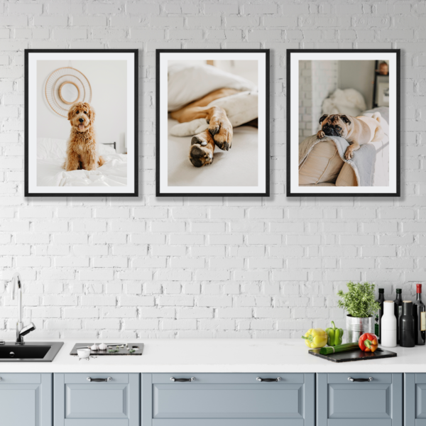 Posteran Plakaty Obrazy