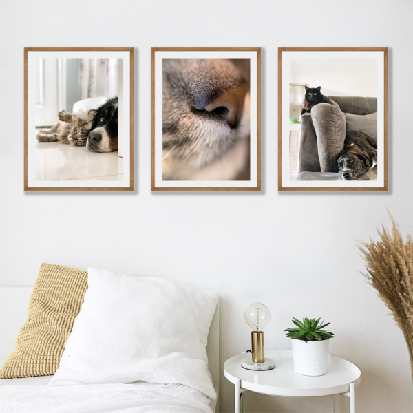 Posteran Plakaty Obrazy