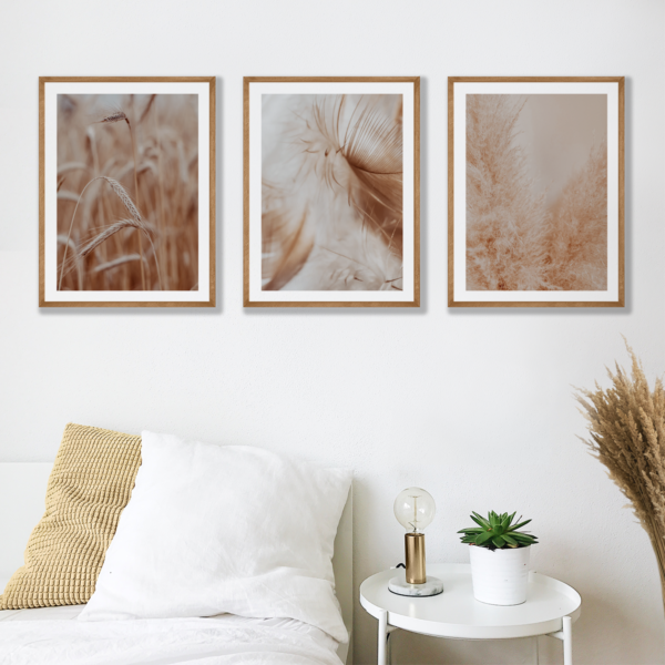 Plakaty 3 szt. Boho Piórko Posteran Plakaty Obrazy