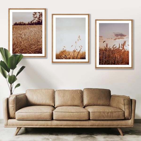 Plakaty 3 szt. Boho Pole Zboże Posteran Plakaty Obrazy