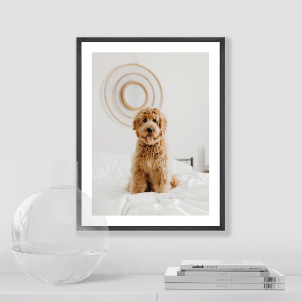 Plakat Boho Pies Posteran Plakaty Obrazy