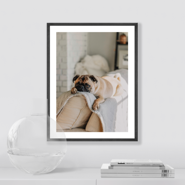 Posteran Plakaty Obrazy