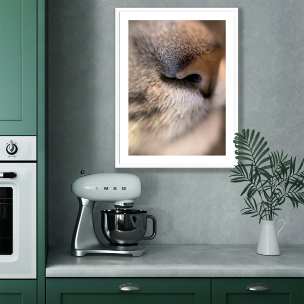 Posteran Plakaty Obrazy