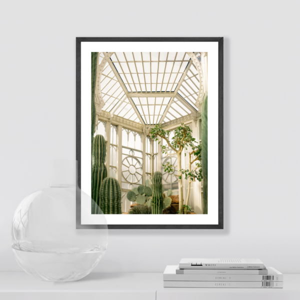 Plakat Ogród Zimowy Posteran Plakaty Obrazy