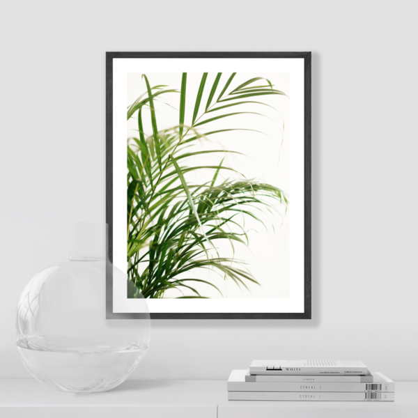 Posteran Plakaty Obrazy