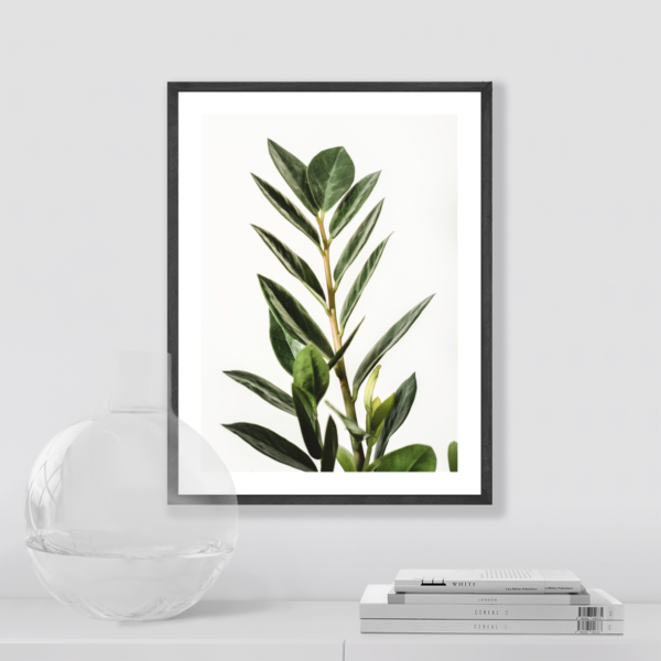 Posteran Plakaty Obrazy