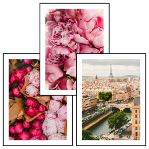Posteran Plakaty 3 szt. Pink Power
